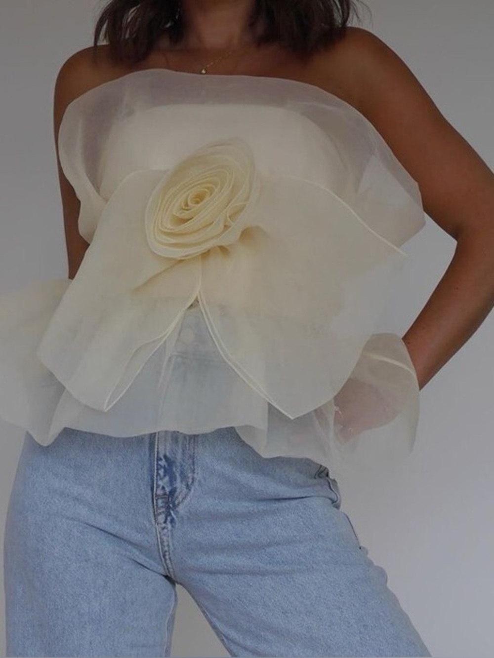 ZARA Organza Bow Rose Top - Picture 2 of 6